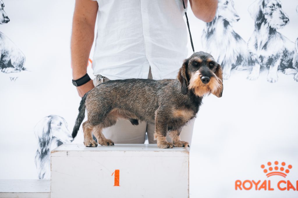 Tango De L'Echo De La Braconne